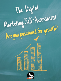The Digital Marketing Self-Assesment